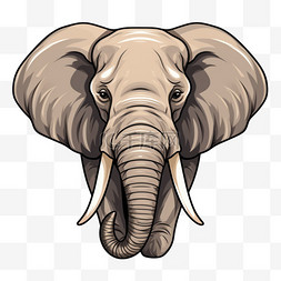 大象的头
