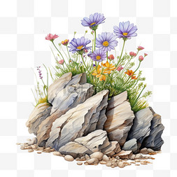 花朵石头图片_水彩鲜花花朵石头免扣元素