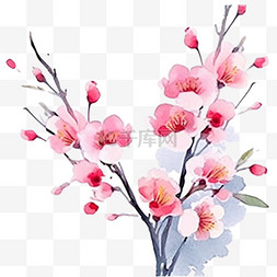 婚礼邀请函粉色图片_春天的象征水彩画白色背景上的樱