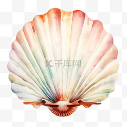 白色贝壳图片_水彩红白色贝壳免扣元素