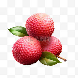 荔枝水果圆红带叶写实元素装饰图