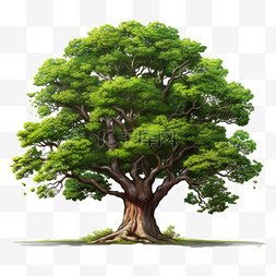 树写实图片_绿色树叶树木植物自然写实元素装