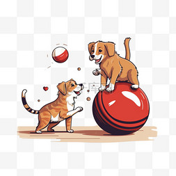 狗和猫在梳妆台附近玩球