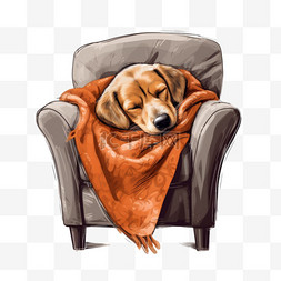 狗睡在椅子上，铺着柔软的毯子