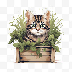 猫盒子图片_条纹猫坐在盒子里，把植物弄皱
