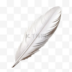 羽毛装饰图案图片_白色鸟类羽毛真实质感写实AI元素