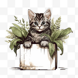 条纹猫坐在盒子里，把植物弄皱