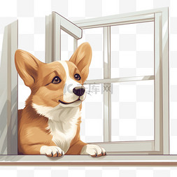 透过窗户看图片_透过窗户看的狗