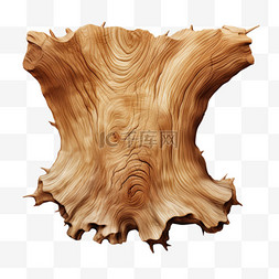 树皮入药图片_树皮木头写实元素装饰图案