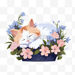 猫在绘画图片_睡在一朵可爱的花下的猫
