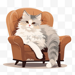 猫躺在椅子上