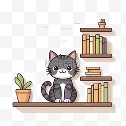 猫坐在书架上
