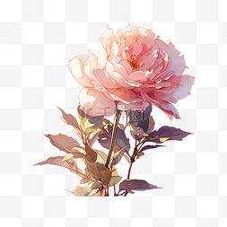 手绘插画花卉玫瑰花元素