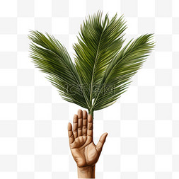 棕榈树植物手掌合成写实AI元素装