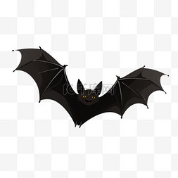 蝙蝠侠摩托图片_万圣节蝙蝠