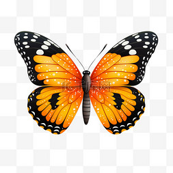 好看的蝴蝶花图片_橙色蝴蝶