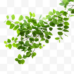 平面绿植矢量图片_绿色小草叶子元素户外绿植