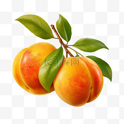 桃水果图片_水果黄桃新鲜水果夏季