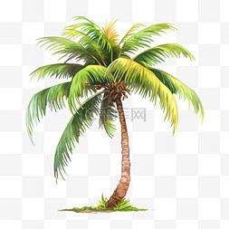 在海边吹海风图片_夏季手绘椰子树沙滩海边元素