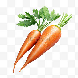 有趣生活用品图片_3D图标食物胡萝卜蔬菜质感生活元