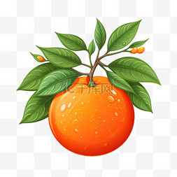 柑橘水果图片_收获秋季秋天橘子柑橘丰收蔬菜水