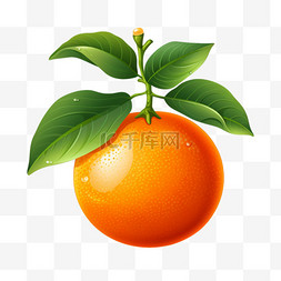 png橘子图片_收获橘子柑橘秋季秋天丰收蔬菜水