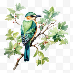 水彩手绘小鸟图片_水彩绿色枝头小鸟免扣元素