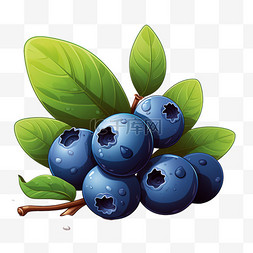 蓝莓丰收图片_收获蔬菜蓝莓紫色水果秋季秋天丰
