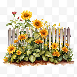 手绘围栏素材图片_水彩向日葵茂密花朵篱笆免扣元素