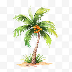 夏季椰子树沙滩海边手绘元素