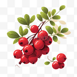 收获标点图片_收获蔓越莓秋天秋季丰收蔬菜水果