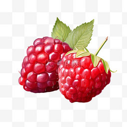 手绘莓果图片_水彩两颗莓果免扣元素