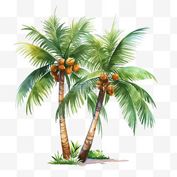 ps椰子树素材图片_夏季椰子树沙滩海边元素手绘