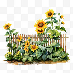 围栏手绘图片_水彩向日葵植物篱笆免扣元素