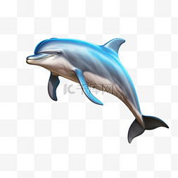 海豚免抠图片_蓝色背部反光海豚AI元素立体免扣