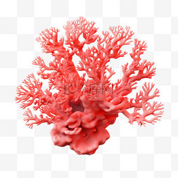 立体珊瑚图片_珊瑚粉色AI元素立体免扣图案