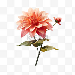 花朵植物橘色带花苞3d元素立体免
