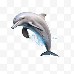 愤怒的海豚图片_白鳍豚海豚AI元素立体免扣装饰