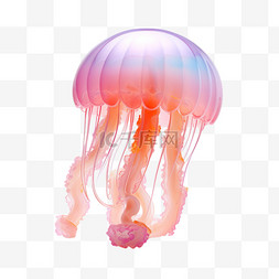 水母海底卡通动物可爱立体萌宠自