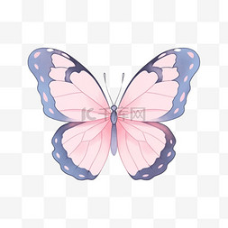 蝴蝶的卵图片_彩色蝴蝶手绘元素卡通