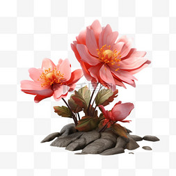 花朵植物带土3d元素立体免扣图案