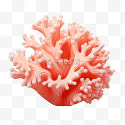 珊瑚真实图片_珊瑚真实可爱AI元素立体免扣图案