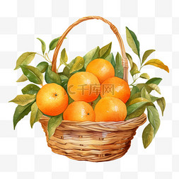 水彩橙色橘子篮子免扣元素