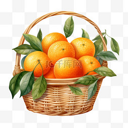 水彩橘子精致篮子免扣元素