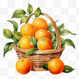 水彩橘子叶子篮子免扣元素