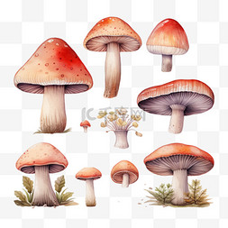 手绘多个图片_水彩多个蘑菇免扣元素