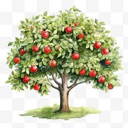 树木免扣素材图片_水彩茂盛苹果树免扣元素