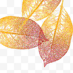 树叶脉络图片_彩色半调秋天树叶背景