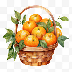 水彩好吃橘子篮子免扣元素
