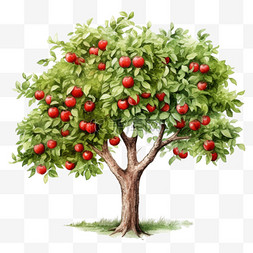 树木免扣素材图片_水彩丰收苹果树免扣元素
